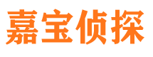 三都市私家侦探